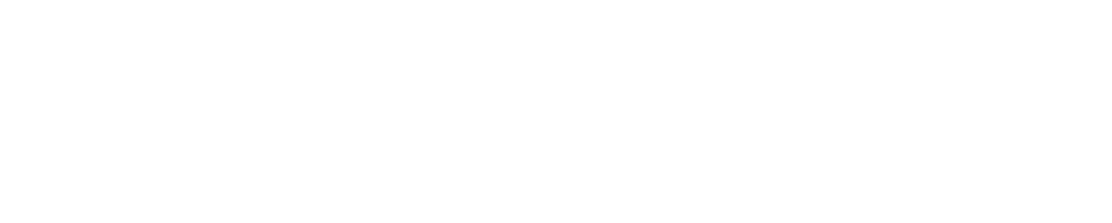 Icon Internacional Ferretera